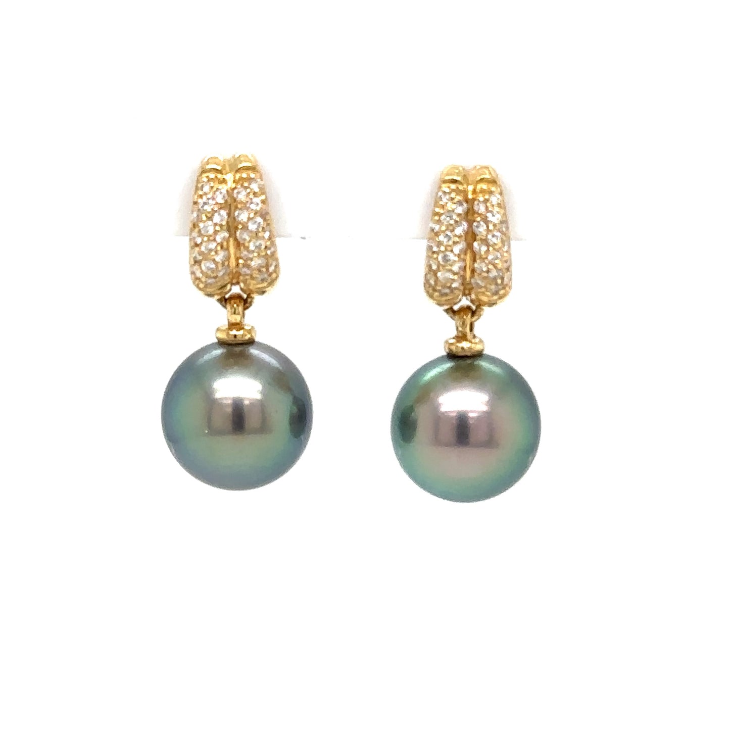 Tahitian Peacock Pearl Earrings