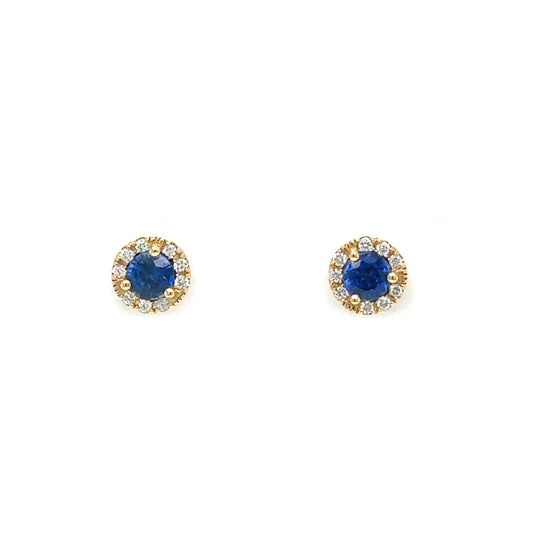 Sapphire Halo Earrings